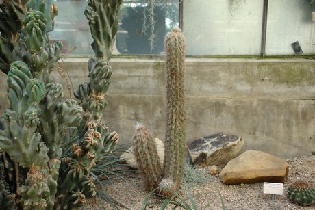 botanischer-garten