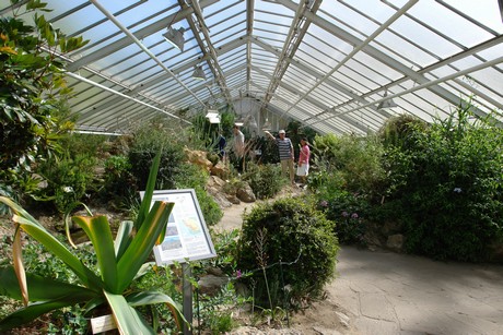 botanischer-garten