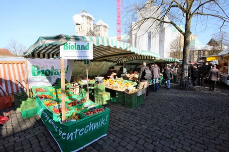 markt