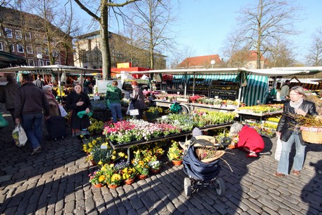 markt