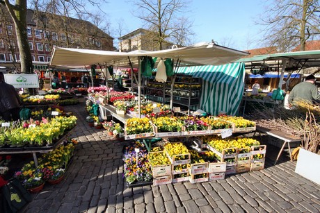 markt