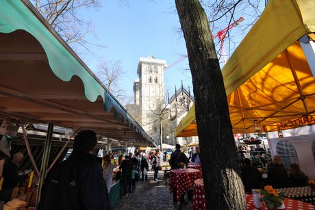 markt