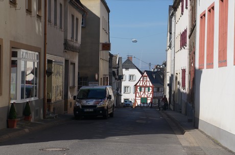 muenstermaifeld