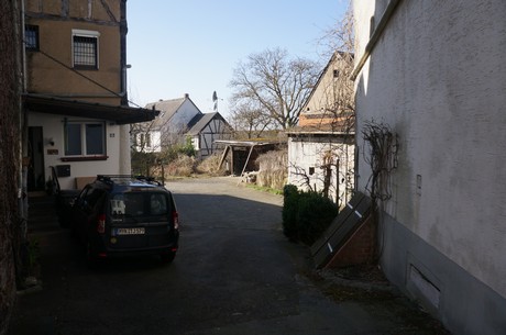 muenstermaifeld