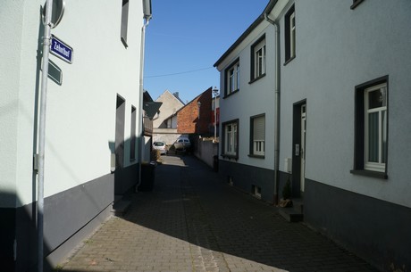 muenstermaifeld