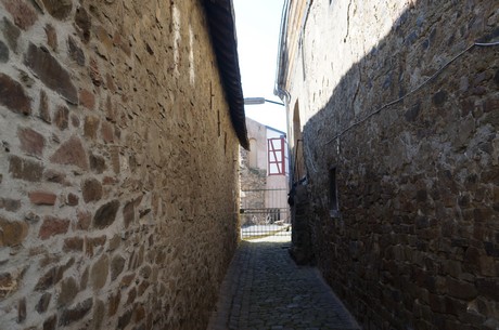 muenstermaifeld