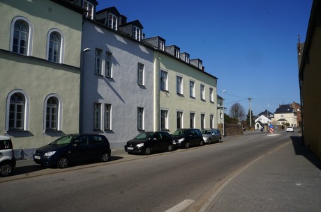 muenstermaifeld