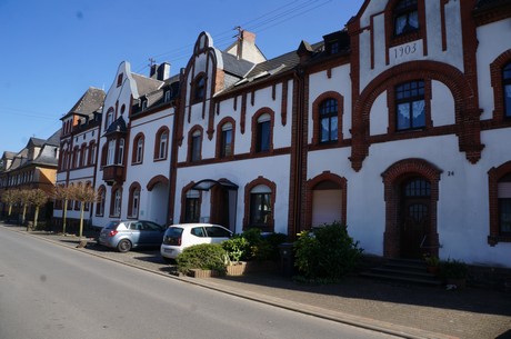 muenstermaifeld