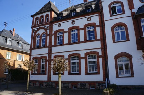 muenstermaifeld