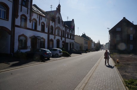 muenstermaifeld