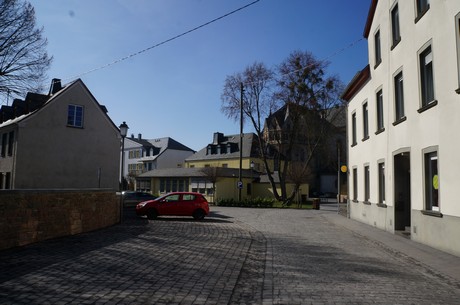 muenstermaifeld