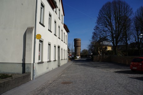 muenstermaifeld