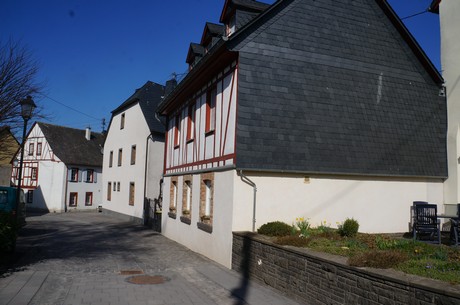 muenstermaifeld