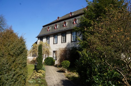 muenstermaifeld