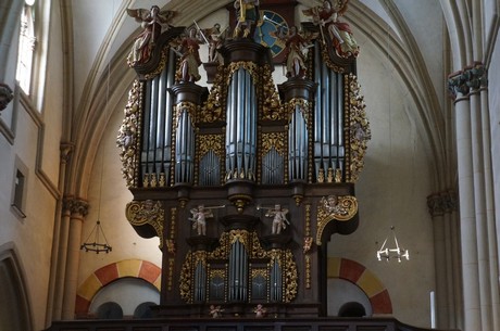 muenstermaifeld
