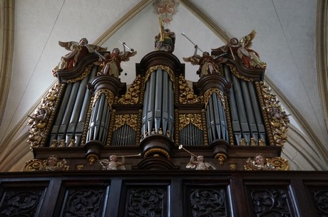 muenstermaifeld