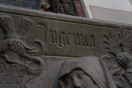 muenstermaifeld