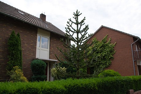 Neuenhaus