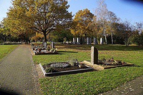 Niederau