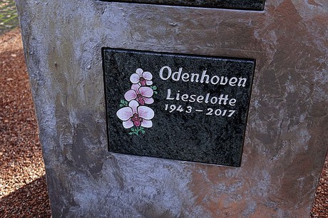Niederau