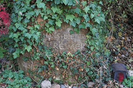 Niederau