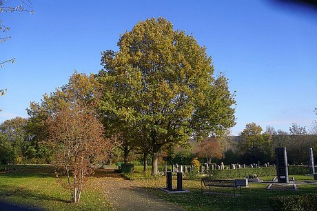 Niederau