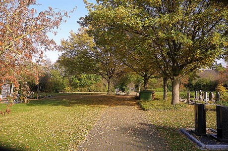 Niederau