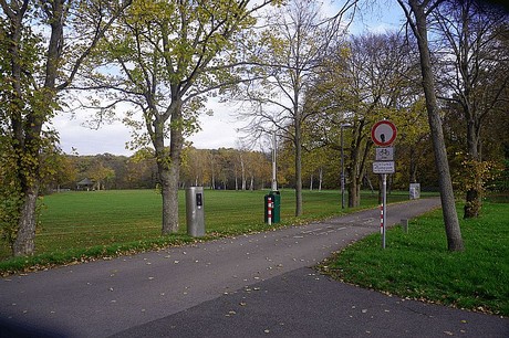 Niederau