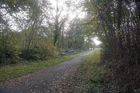 Niederau