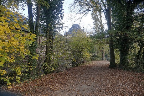 Niederau