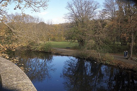 Niederau