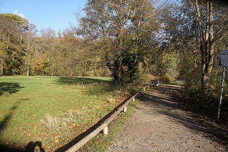 Niederau