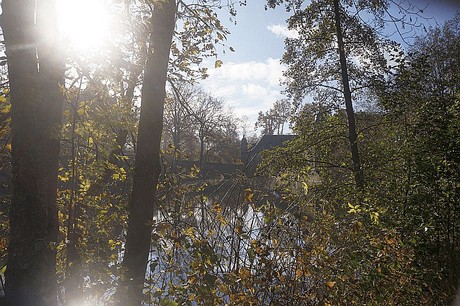 Niederau