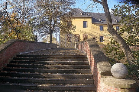 Niederau