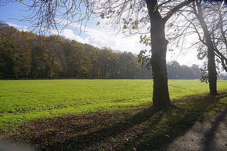 Niederau