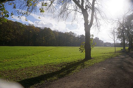 Niederau