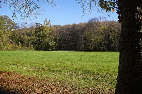 Niederau