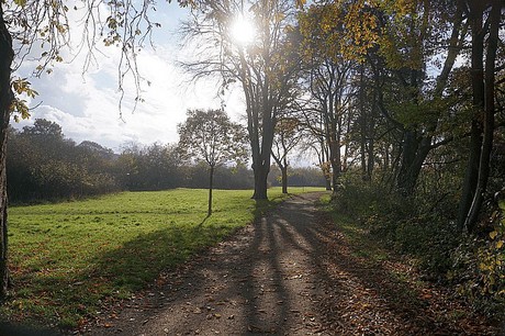 Niederau