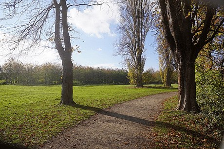 Niederau
