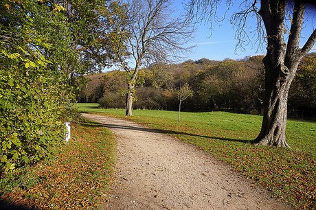 Niederau