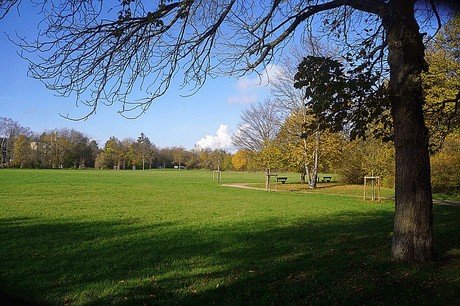 Niederau