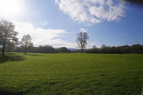 Niederau