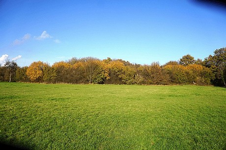 Niederau