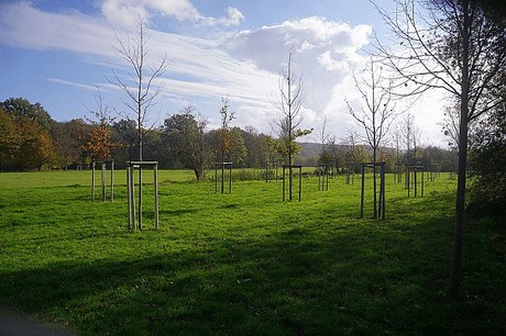 Niederau