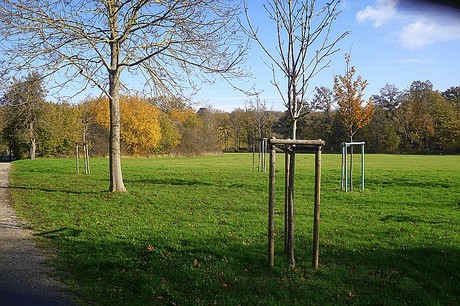 Niederau