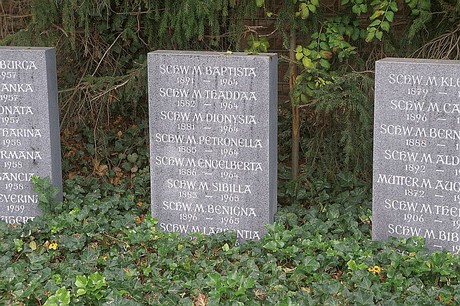 Niederau