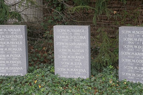 Niederau