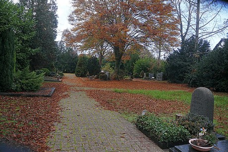 Niederau