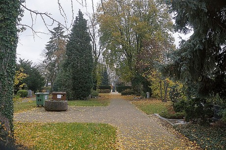 Niederau