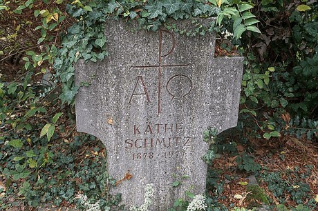 Niederau